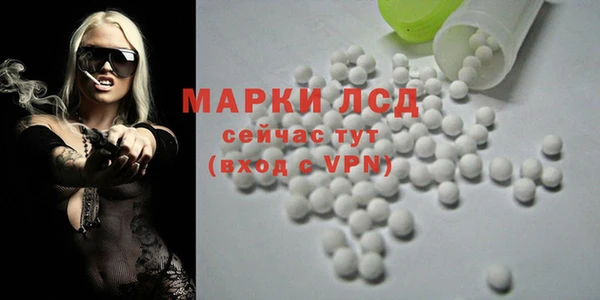 стафф Приозерск