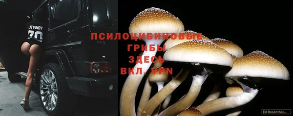 стафф Пролетарск