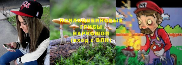 стафф Приозерск